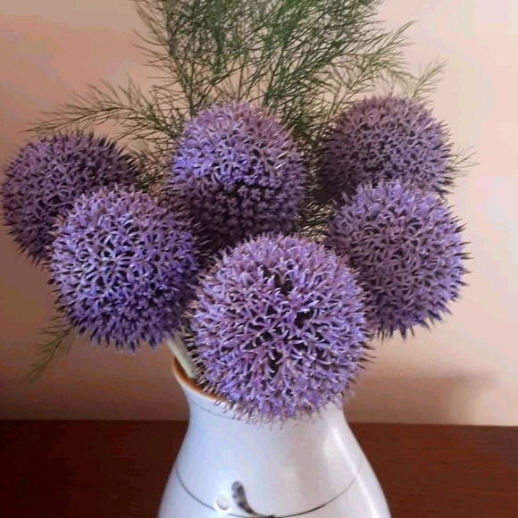 Meet your Posher, Aten - Picture 1 of 1